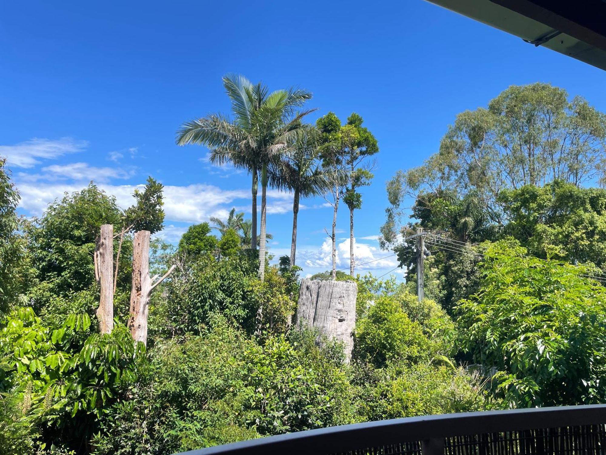 Maleny Terrace Cottages Esterno foto